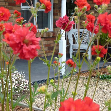 Hazelcreek Cottages Exeter Bagian luar foto