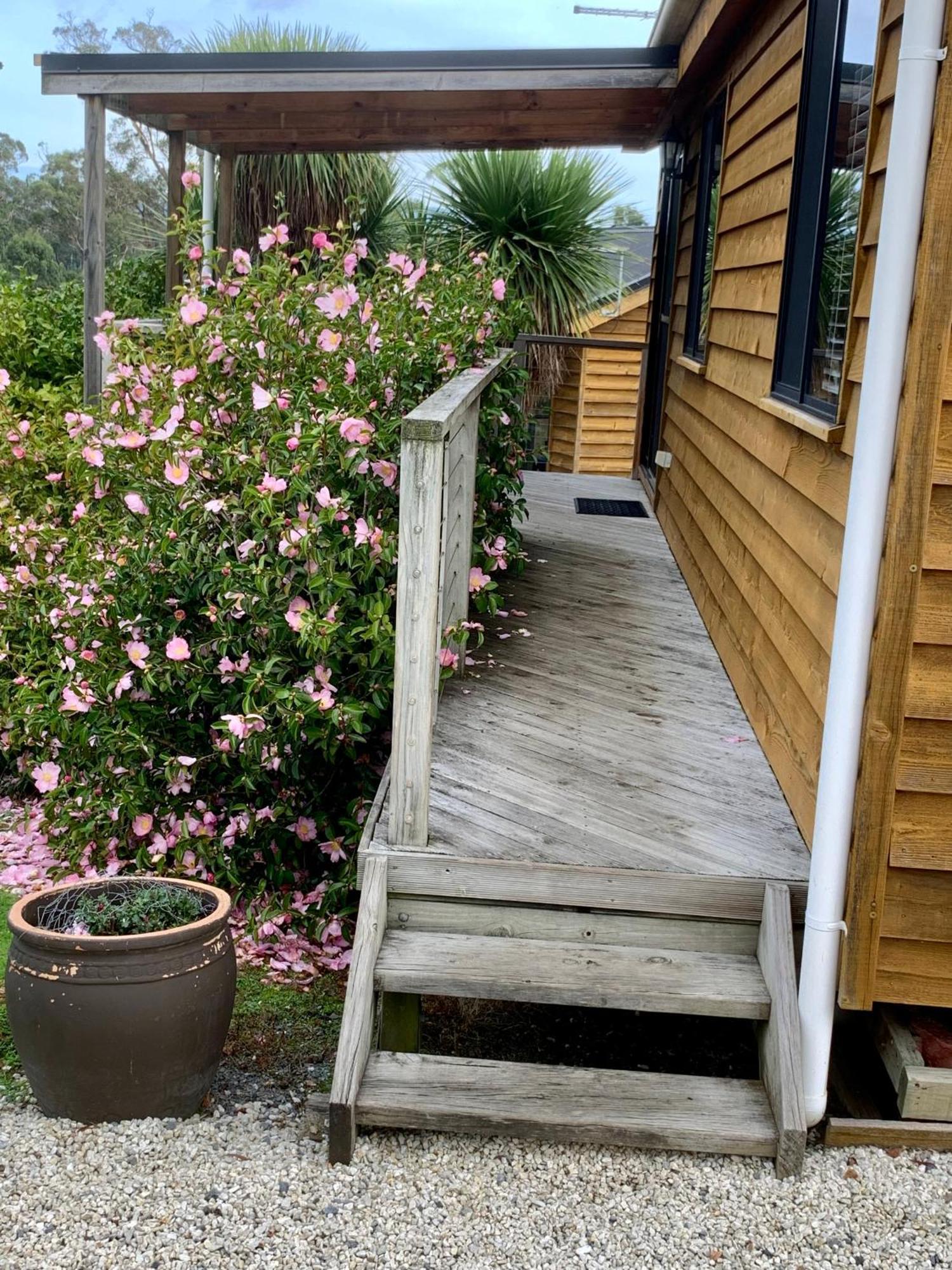 Hazelcreek Cottages Exeter Bagian luar foto