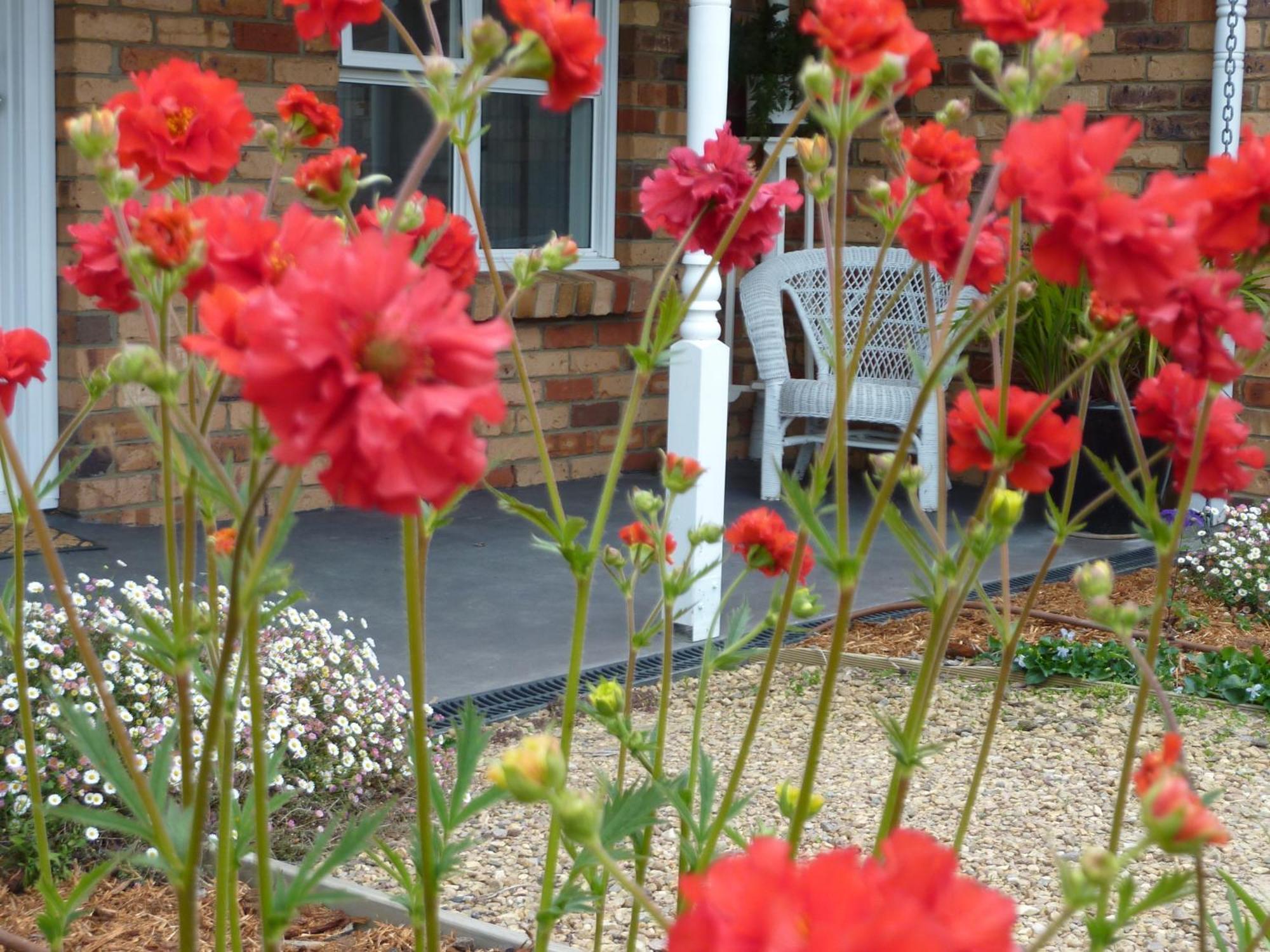 Hazelcreek Cottages Exeter Bagian luar foto
