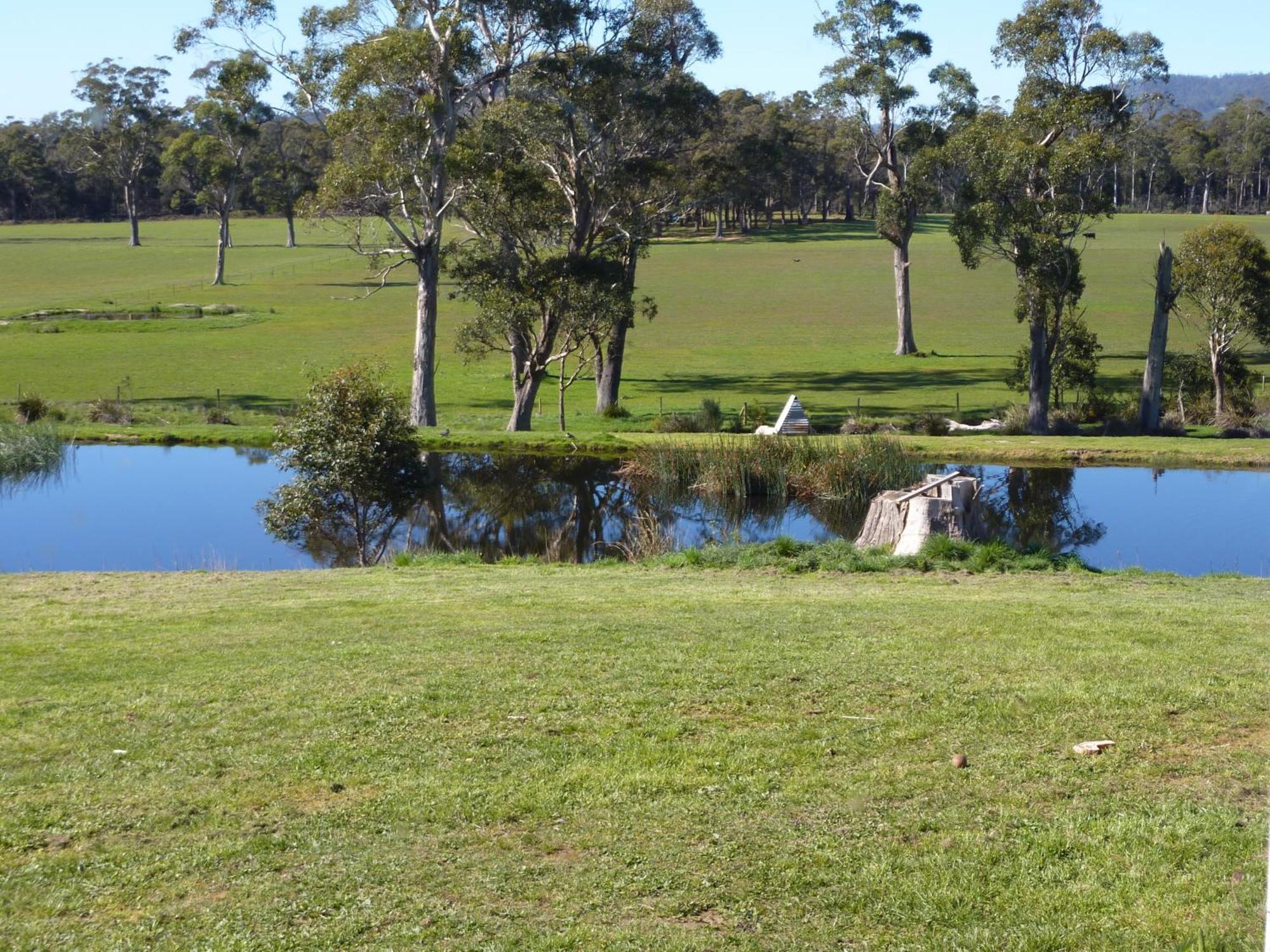 Hazelcreek Cottages Exeter Bagian luar foto