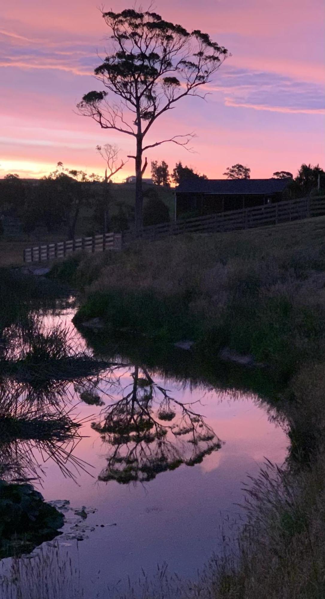 Hazelcreek Cottages Exeter Bagian luar foto