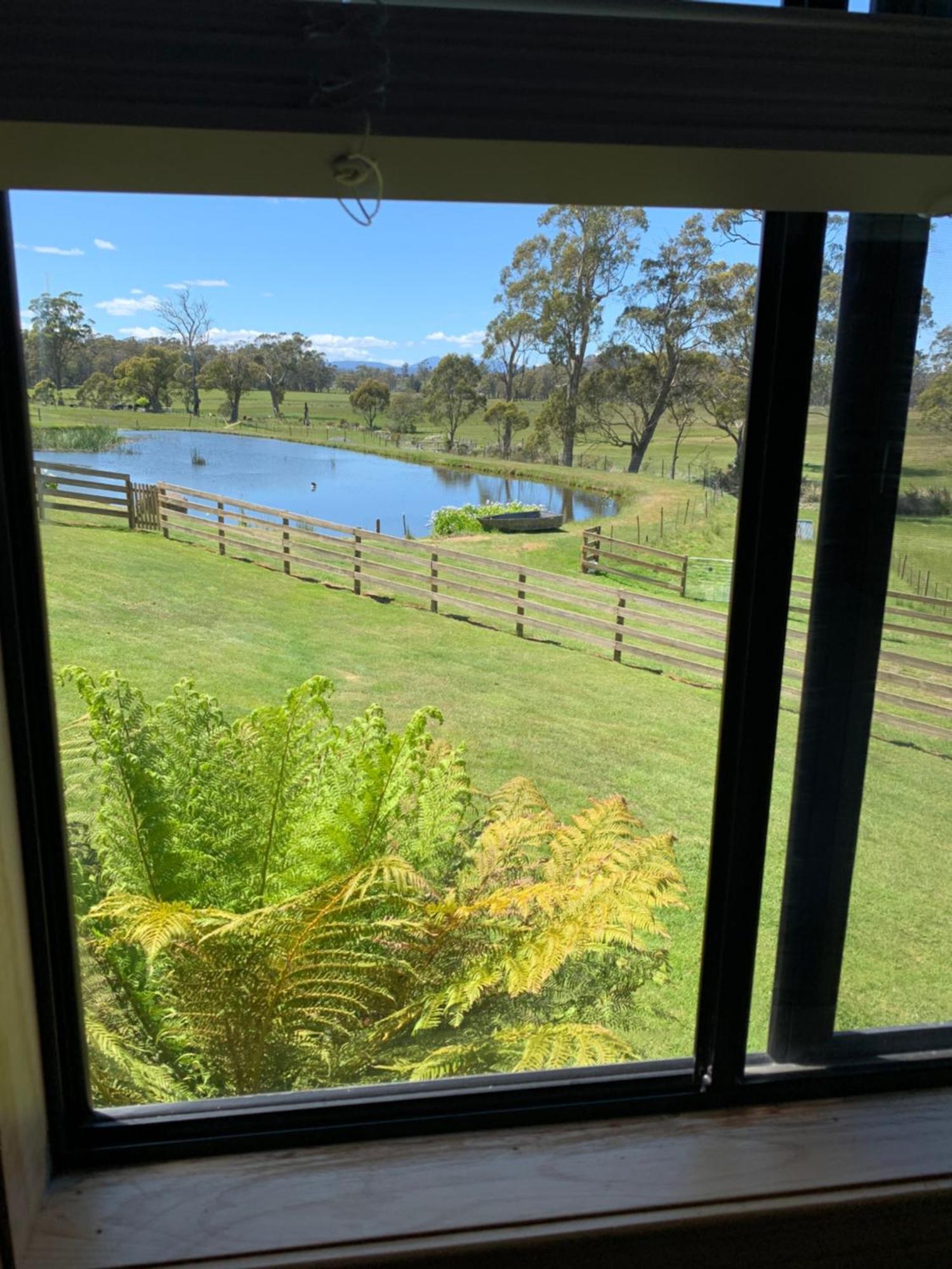 Hazelcreek Cottages Exeter Bagian luar foto