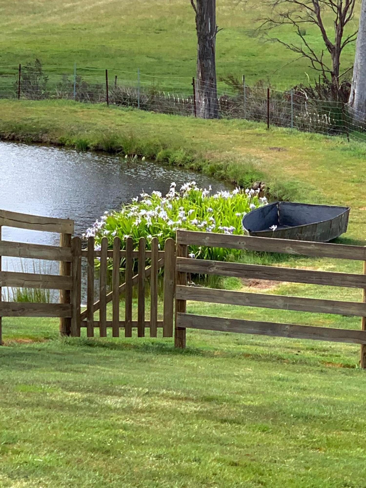 Hazelcreek Cottages Exeter Bagian luar foto