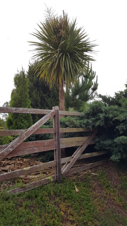Hazelcreek Cottages Exeter Bagian luar foto