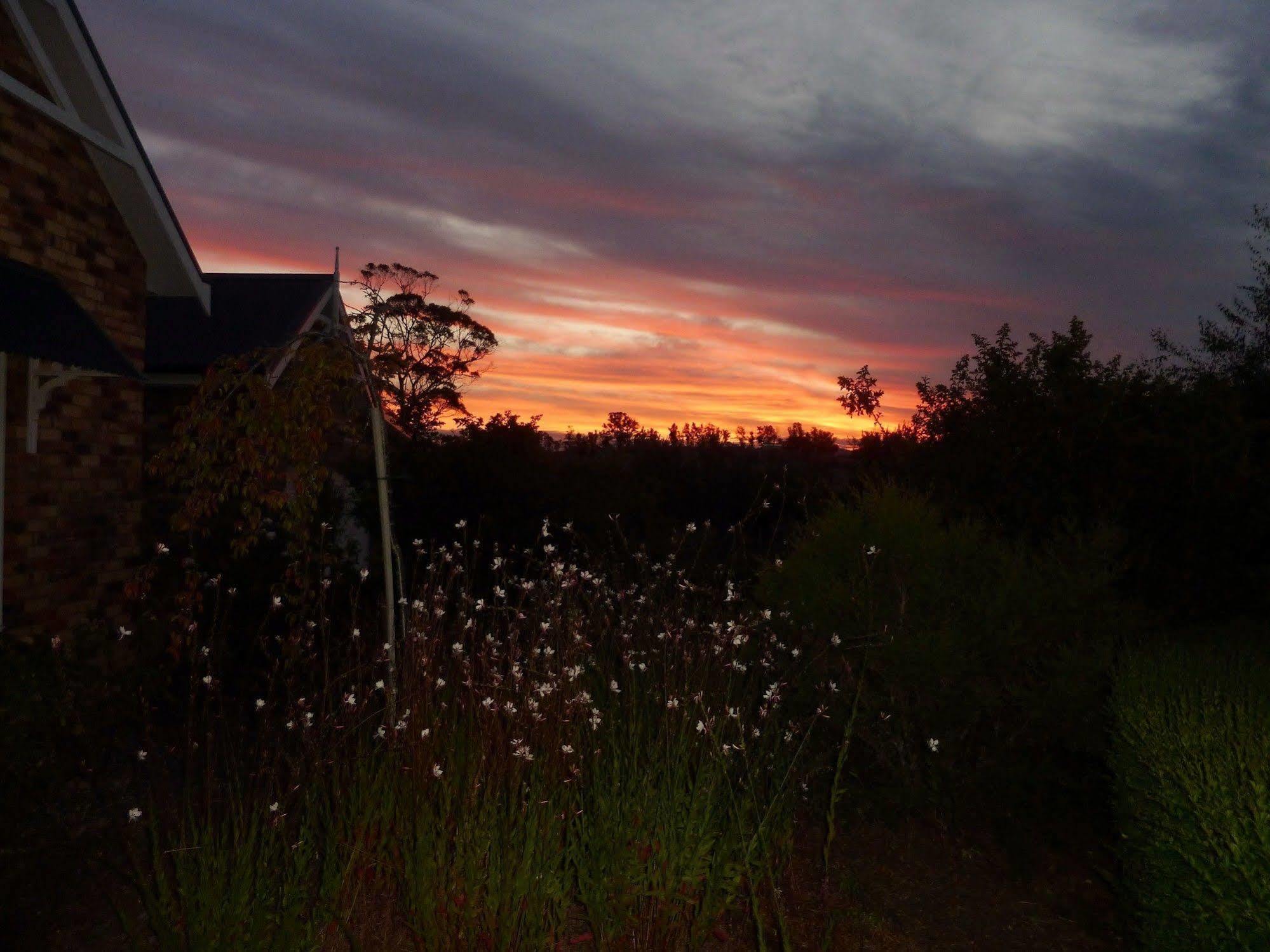 Hazelcreek Cottages Exeter Bagian luar foto
