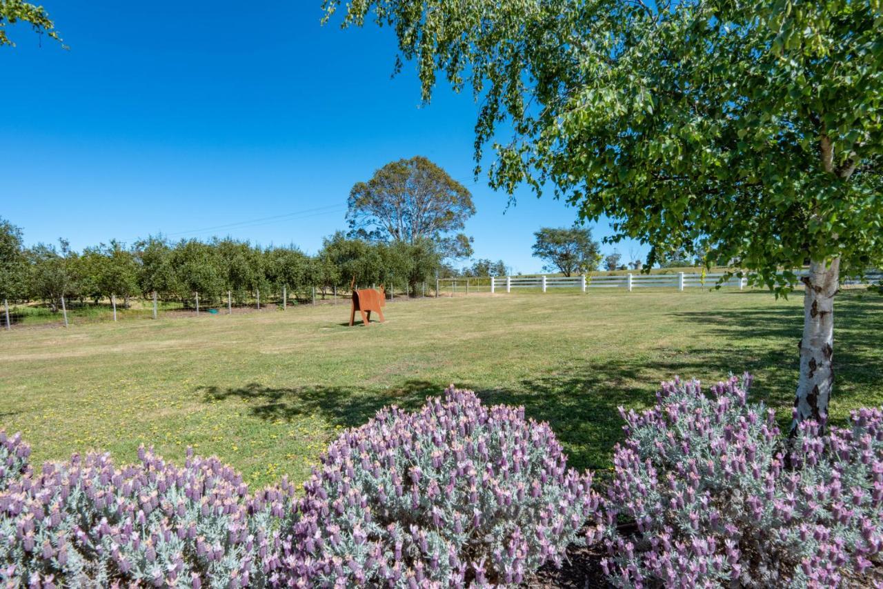 Hazelcreek Cottages Exeter Bagian luar foto